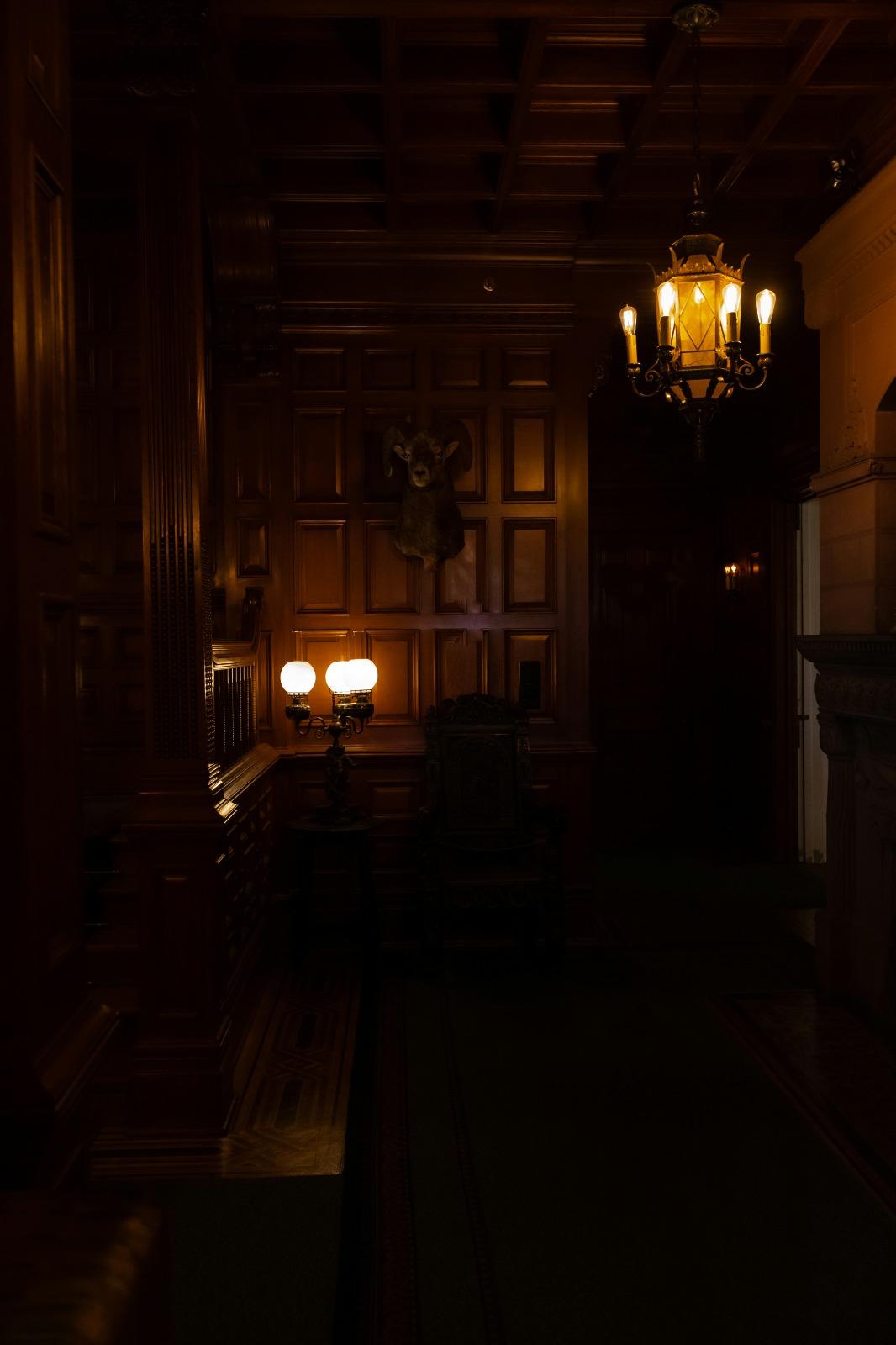 ARCA — luxury chandelier interior